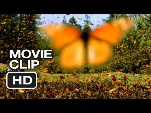 Disneynature: Wings of Life Movie CLIP - Butterflies (2013) - Meryl Streep Movie HD