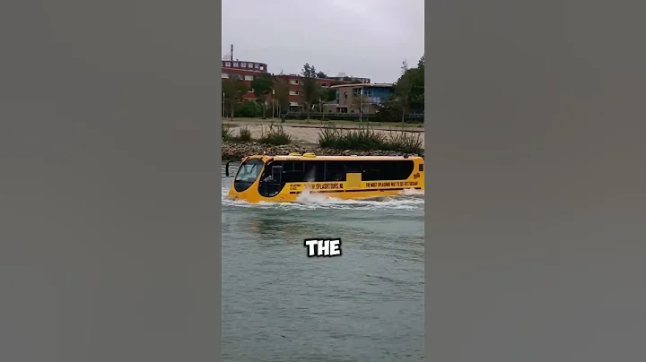Why Did the Bus Driver Drive Into the River? 🤔