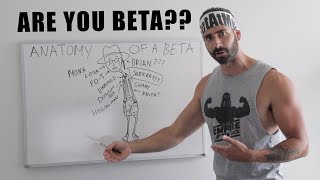 Anatomy of a Beta Male