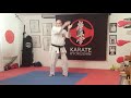 Kyokushinkai Garyu Kata