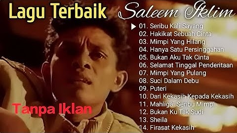 KOLEKSI LAGU SALEEM IKLIM TERPOPULER || LAGU NOSTALGIA (TANPA IKLAN)