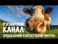 П'ЯТНИЧНИЙ КАНАЛ | СПЕЦІАЛЬНИЙ КАРПАТСЬКИЙ ВИПУСК