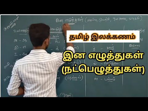 Tamil Grammar Ethnic Alphabets  TNPSC GROUP 4 TAMIL ILAKKANAM