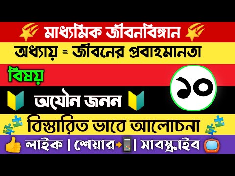 ভিডিও: স্প্রুস 