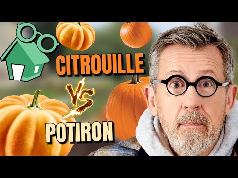 Vidéo: Qui fabrique la citrouille festive ?