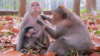 Elder Sister Jinx Grooming Her Sister Juliana