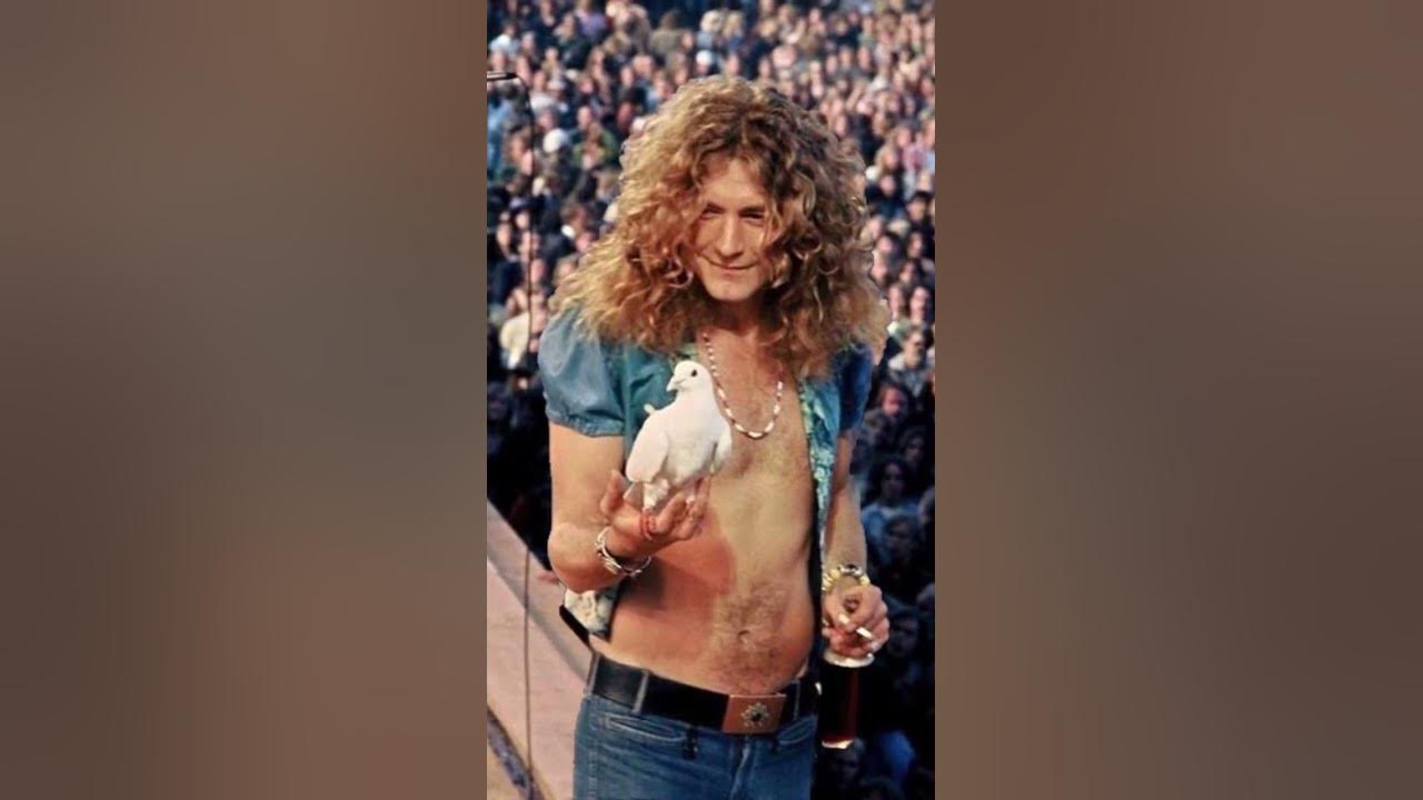 Led Zeppelin (  D’yer Mak’er  ) 🎸🎸🎸💯 Rock