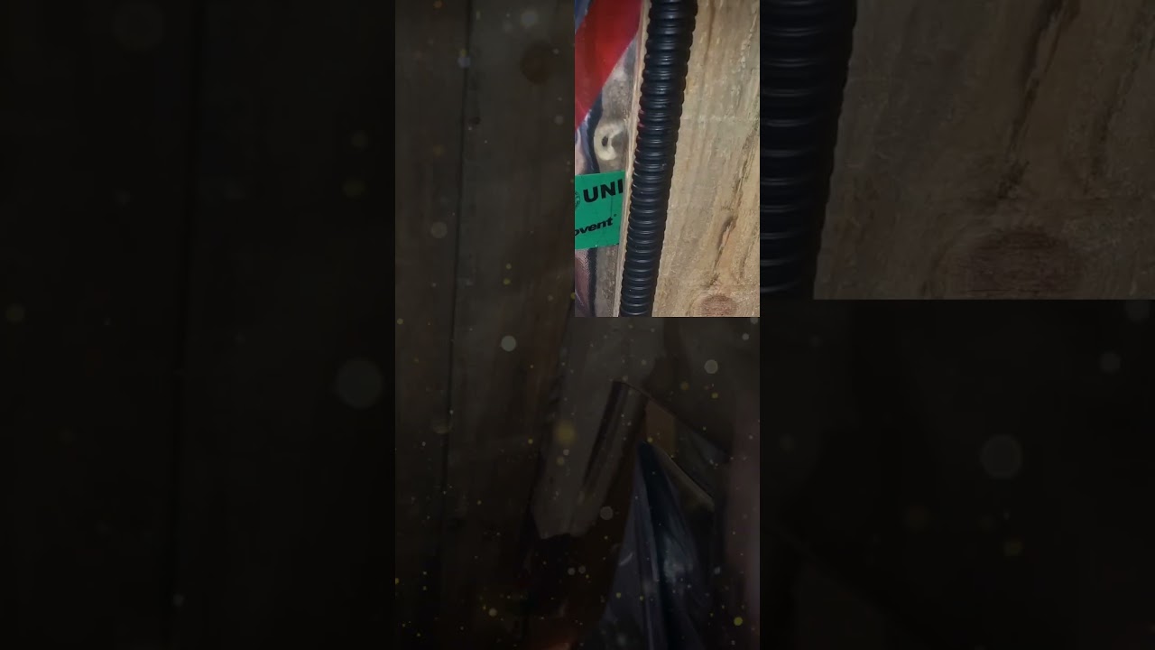 The dog watches the fastening of the imitation bar (Собака наблюдает за креплением имитации бруса)