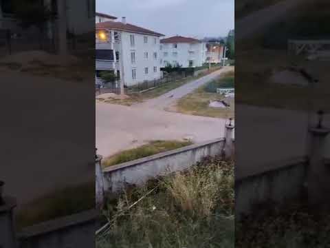 Vatandaş Tilkiye böyle seslendi