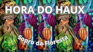 Hora do Haux - Sopro da Floresta