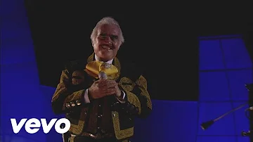 Vicente Fernández - Amor Mío (En Vivo)