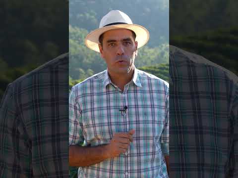 Renda Mensal de