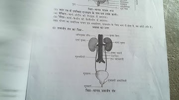 R.B.S.E. class 10th science model paper 2021.