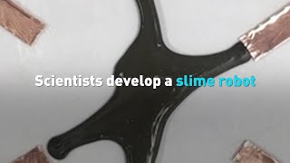 Scientists develop slime “soft robot” in research for advancement of internal medicine screenshot 3