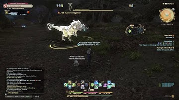 FFXIV HW : Lv56 If Living Is without Nuts - Walkthrough
