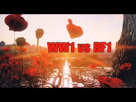 WW1 vs BF1