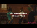 Cours de bachata avec audrey sasso  salsabor paris