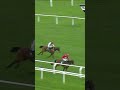 Home By The Lee wins the Stayers’ Hurdle at the fifth time of asking!