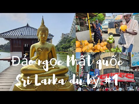 Video: Hướng dẫn về Sân bay Quốc tế Colombo Bandaranaike