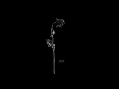 CSL1010 Next G - "Time is The Enemy" Teaser TVC