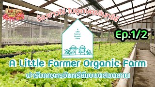 ฟาร์มเกษตรอินทรีย์ A Little Farmer Organic Farm EP 1/2