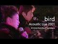 Capture de la vidéo Bird　アコースティック ライブ　鎌倉大仏【Live】