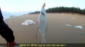Câu đủ loaị cá luôn. hj ,cá trang chấm ,  cá hanh tráp , cá rồ