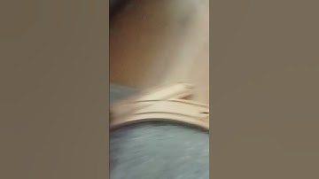 Thumbnail of the Caledonian twins