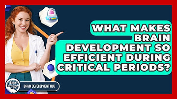 What Makes Brain Development So Efficient During Critical Periods? - Brain Development Hub