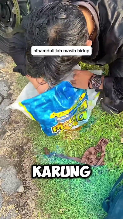 menyelamatkan kucing tenggelam di dalam karung😰