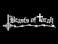 Capture de la vidéo Beasts Of Torah - The Truth Of Samael