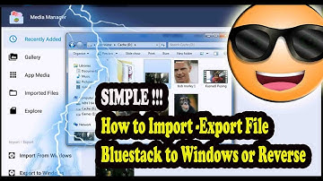Easy How to Export and Import Files to Bluestacks PC