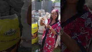 Sorted beer bottles#trendingshorts #recycle #beerbottle #waste #environmentalissues