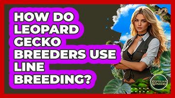 How Do Leopard Gecko Breeders Use Line Breeding? - Reptilian Wonders