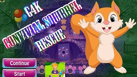 G4K Convivial Squirrel Rescue Walkthrough [Games4King]