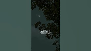 قران كريم|حالات واتساب|ماتيسر من"سورة غافر"الايه(32-33)القارئ مشاري العفاسي❤️