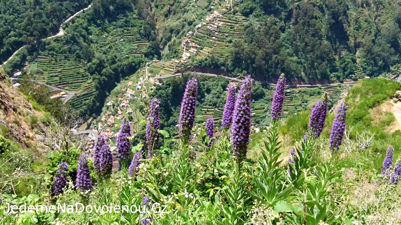 Nun's Valley (Údolí jeptišek)