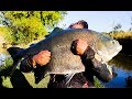 ULTRALIGHT - DICAS - Pesqueiro PeskPag dos Amigos - Goias Amental Fishing Tambacus gigantes