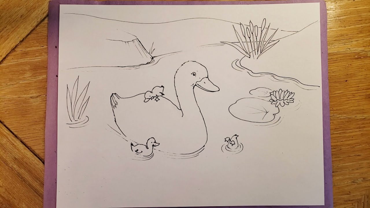 How To Draw A Duck Family 