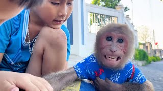 Baby Monkey Bibi Returns Home and Reunites with Old Friends!