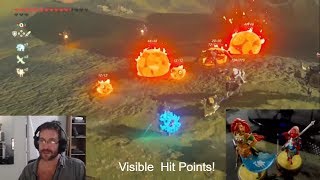 See Enemy hit Points, with Divine Helms, from Champion Amiibo - Zelda Breath of The Wild