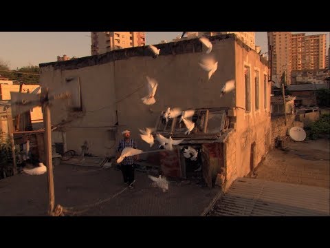 Video: İşıq şəhəri