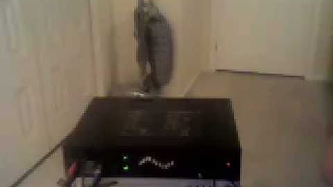 My Roland SVC-350 Vocoder / 2