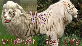 WildCraft Bosses In Real Life (Newer Version)