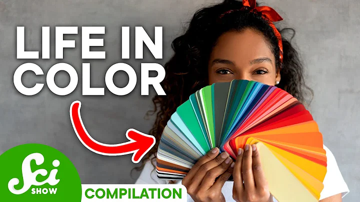 How Language Changes How We See Color | Compilation - DayDayNews