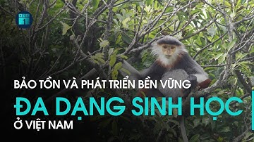 Bảo tồn và phát triển bền vững đa dạng sinh học tại Việt Nam | VTC1