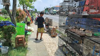 Cari yang unik disini ada harga tergantung barang lapak ZBS pb kertasemaya indramayu