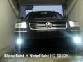 Passat 5000K Xenon