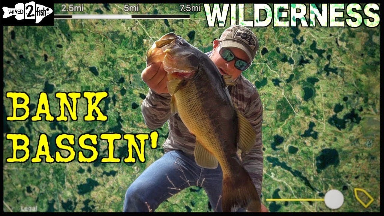 Bank Fishing with Big Swimbaits for Bass - Wired2Fish