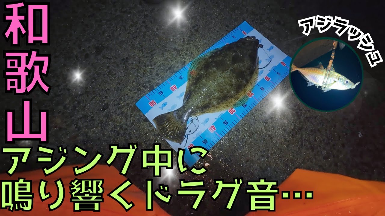 【アジング】デイから始まる異世界生活